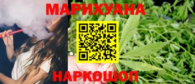 сатива Кандалакша