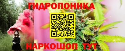 стаф Канаш