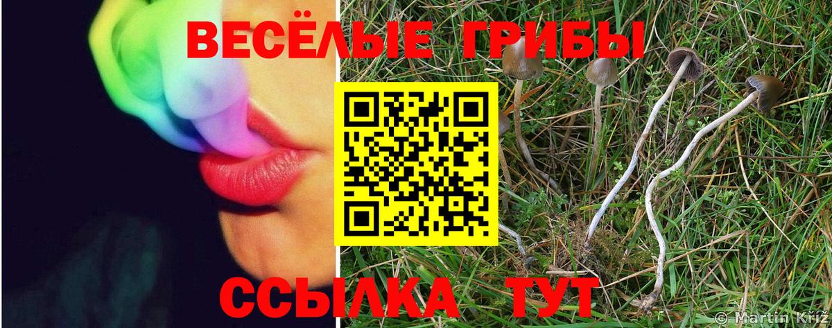 Мыски  Псилоцибиновые грибы Magic Shrooms  Вход с VPN 